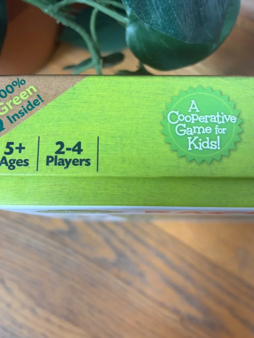 Race to the Treasure Cooperative Board Game Award Winning Ages 5+